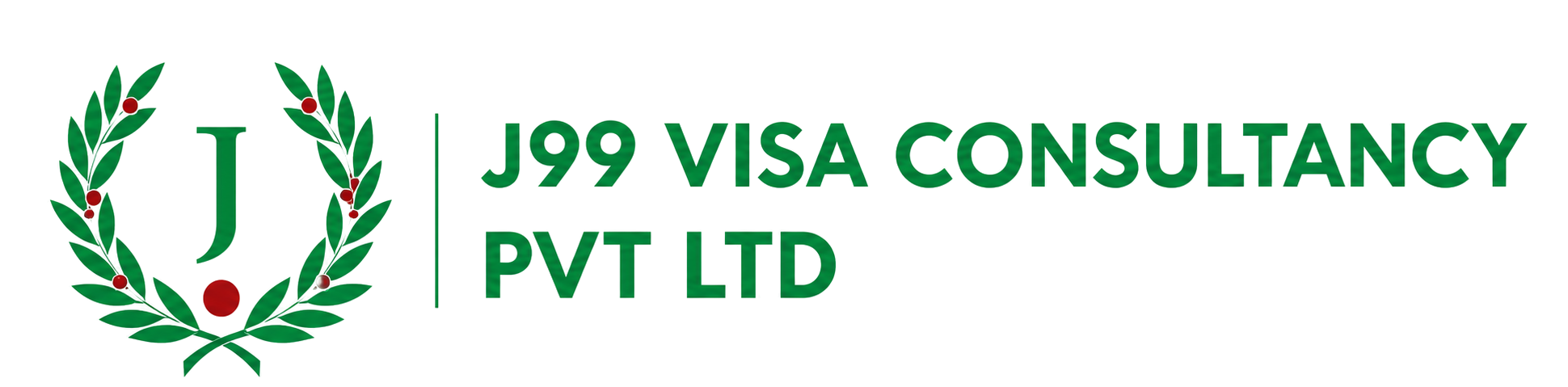 J99_Visa_logo25.png